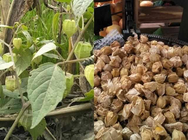 【kycom】首轮就输 巴萨球迷怒了:巴尔韦德下课!签回内马尔!(图2)