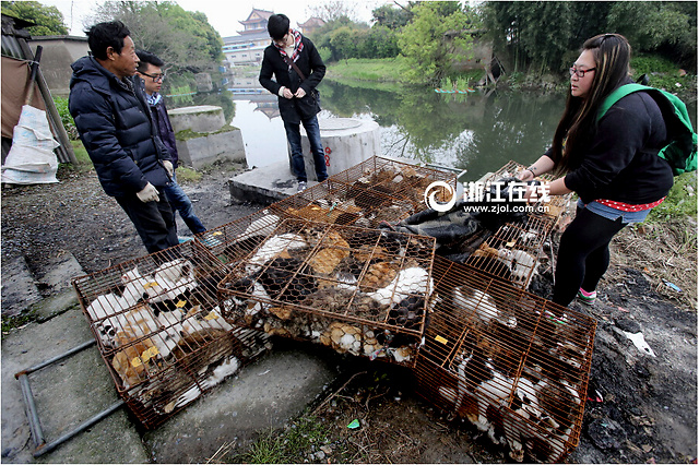 《全境封锁》1.7版本更新内容前瞻 可玩内容丰富|ky.com(图2)