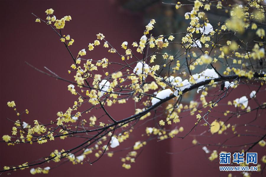 《星露谷物语》多人模式预定将于今年春季开启测试【kycom】(图3)