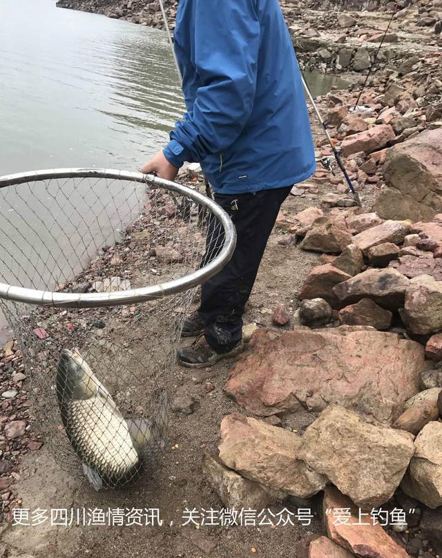 《漫漫长夜》官网神秘倒计时 剧情模式来了？：ky.com(图2)