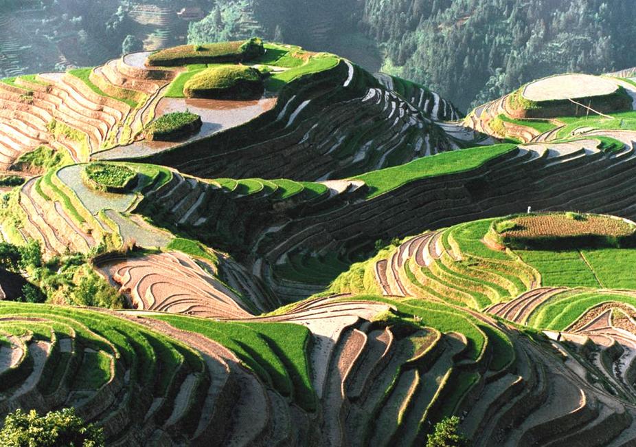 ky.com：TGS2017：日本一新川社长采访 期待更多中文游戏(图1)