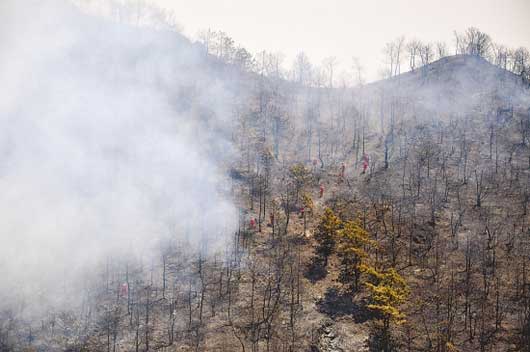 ‘ky.com’原始社会风光 《流放者柯南》最新游戏截图(图1)