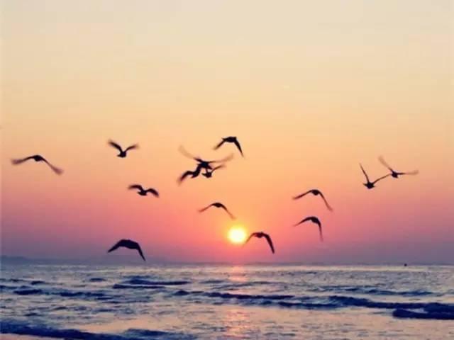 巴士龙门阵：Steam国区社区又被墙了 魔兽各种族丁丁大小排名：ky.com(图2)