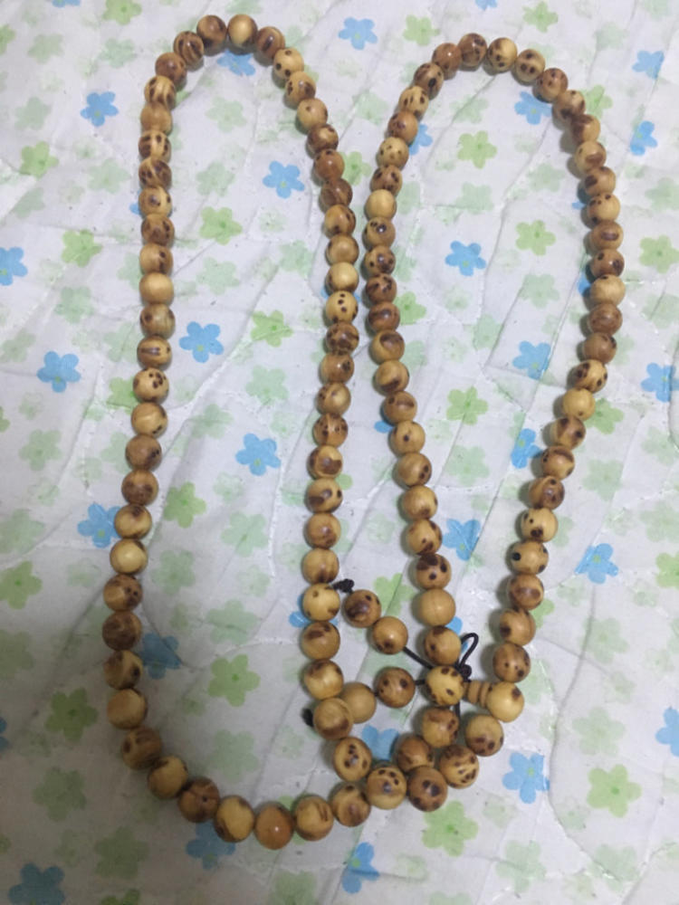 ky.com-角色扮演游戏《东京迷城eX+》将在12月8日登陆Steam(图1)