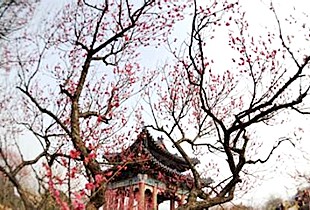 欧联杯资格赛：卢塞恩VS西班牙人视频直播地址【kycom】(图1)