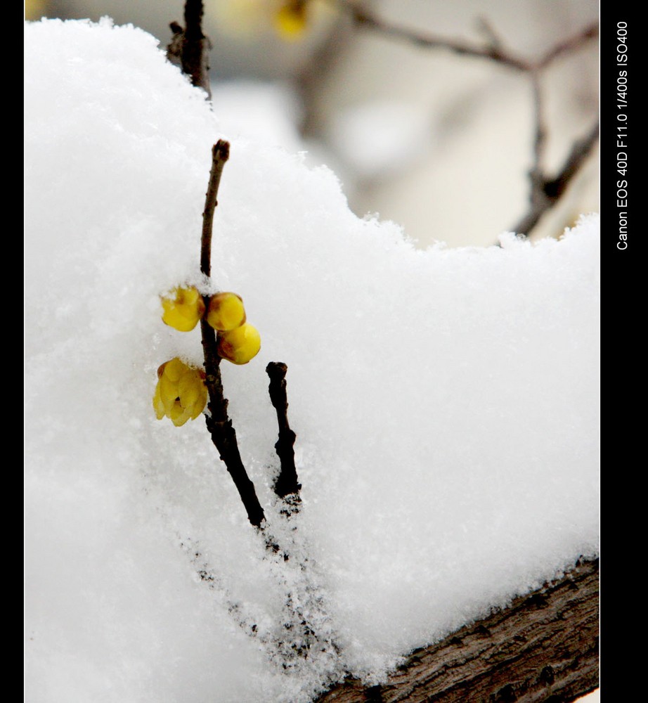 kycom|贝尔重返首发梦游70分钟!齐达内:我和他之间没问题(图1)