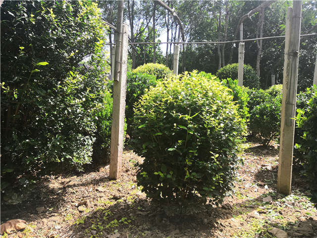 kycom-《孤岛惊魂5》钓鱼系统遭动物善待组织 PETA谴责(图1)