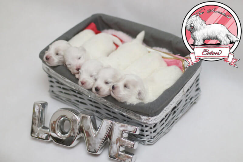 穆帅不满马塞洛却错怪人偏袒亲信遭更衣室讥讽‘kycom’(图1)