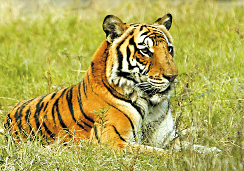 ky.com-慈善赛-两小将破门登贝莱失单刀 巴萨2-0丙级队(图2)