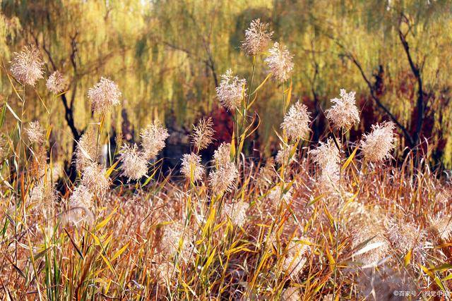 ky.com-女人便秘 易引起宫颈疾病！(图2)