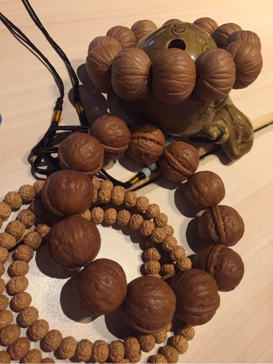 E3 2016：少女和狗拯救世界 《再生核心》新视频-kycom(图1)