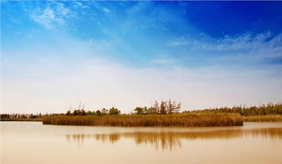 《罗格朗的遗产》放出最新截图 1月24日发售‘kycom’(图2)