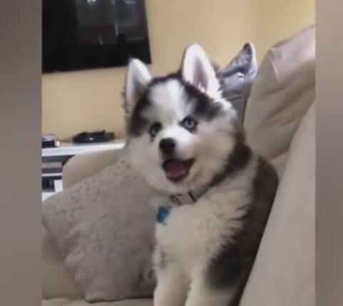 kycom-女性月经量多量少都是病(图2)