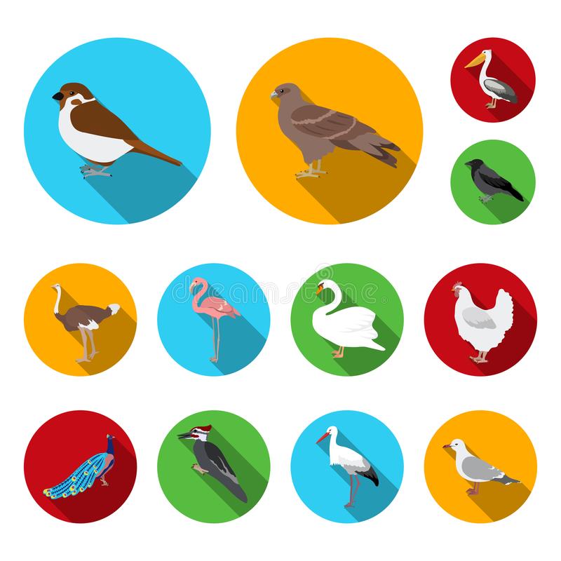 “kycom”霉菌性阴道炎企切莫盲目使用阴道洗液(图1)