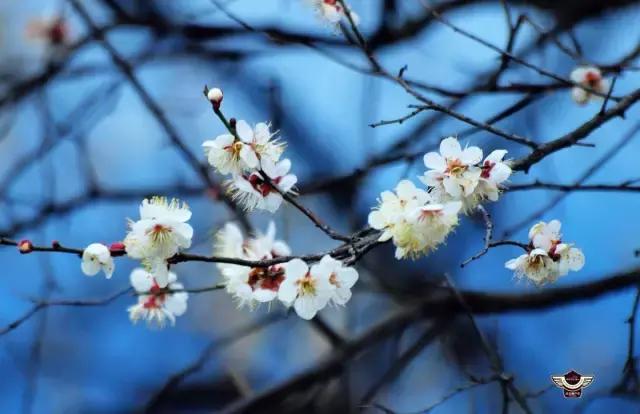 十部科幻感爆棚的行动射击游戏，满足你的科幻梦！|kycom(图1)