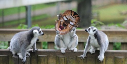 【ky.com】宫颈糜烂的用药禁忌有哪些(图1)