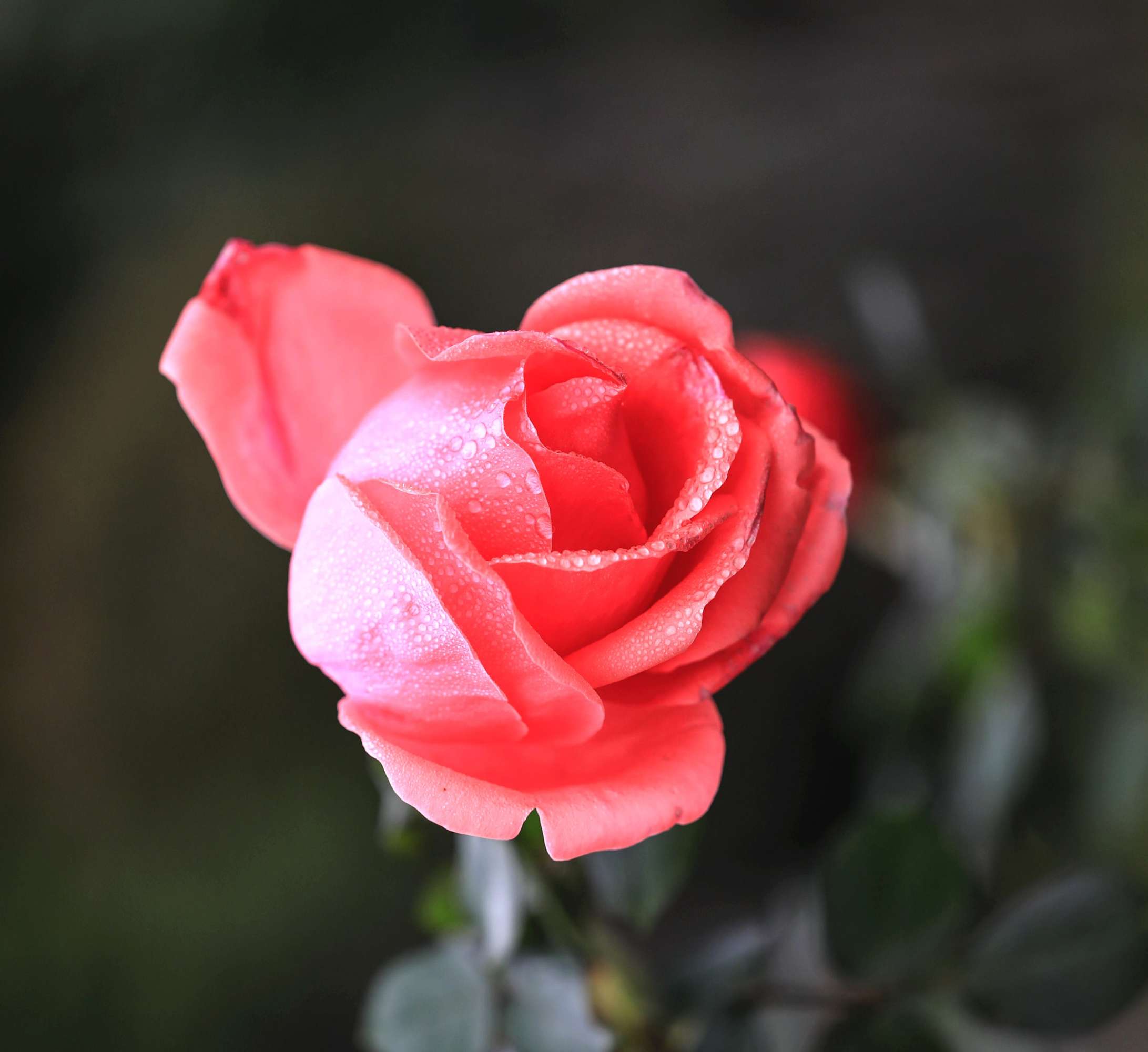 “ky.com”五件特别让女性消耗日常营养的事(图2)