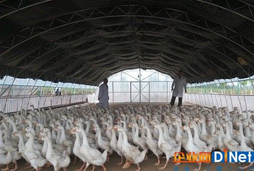 《使命召唤：二战》的丧尸模式会非常黑暗恐怖：ky.com(图1)