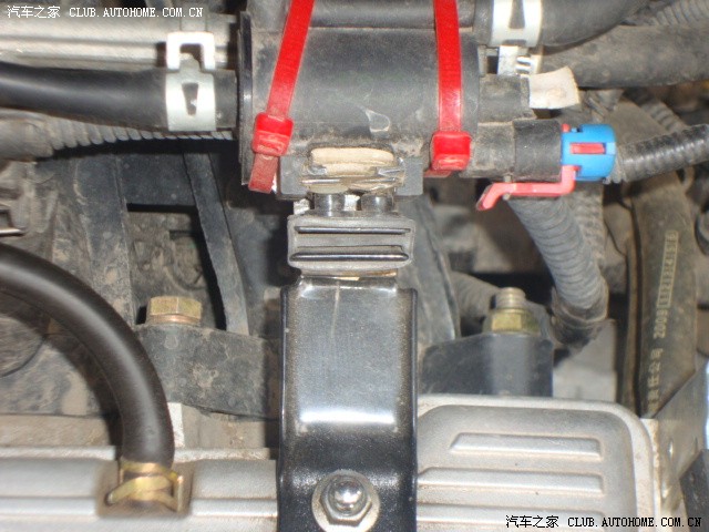 ky.com_预防哮喘 聪明女人懂得给居室科学“换气”！(图2)