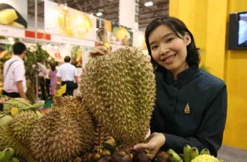 嫌蛛丽太保守？《街头霸王5》新MOD带回胸前春光：kycom(图4)