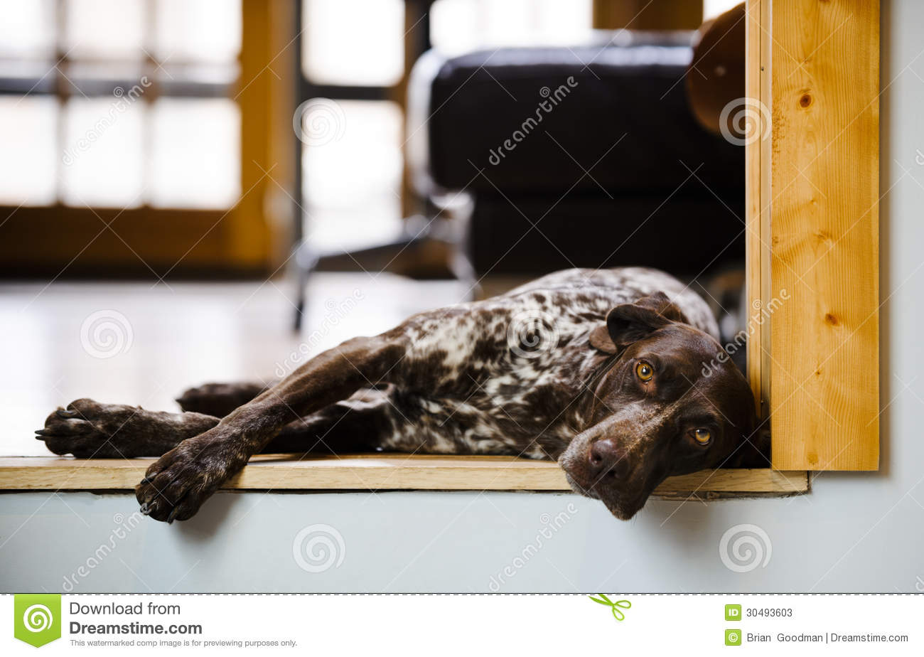 格子破门科斯塔献助攻 马竞3-0韦斯卡收获联赛两连胜‘ky.com’(图1)