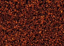 靓妞和普通的你 有8大区别！【kycom】(图2)