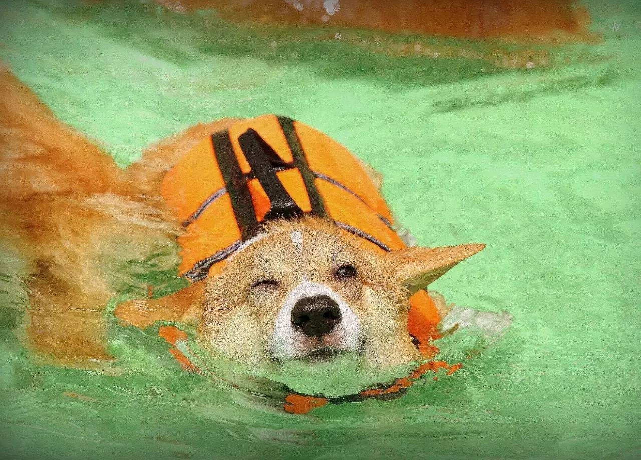 育碧表示刺客信条大革命亚洲中文版不阉割|ky.com(图4)